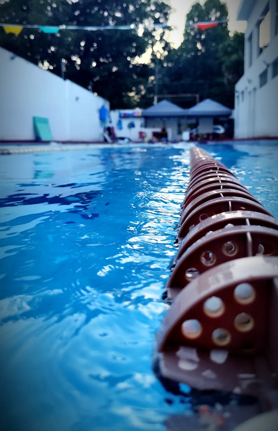 Carril de natación en la alberca Palapas Protudec