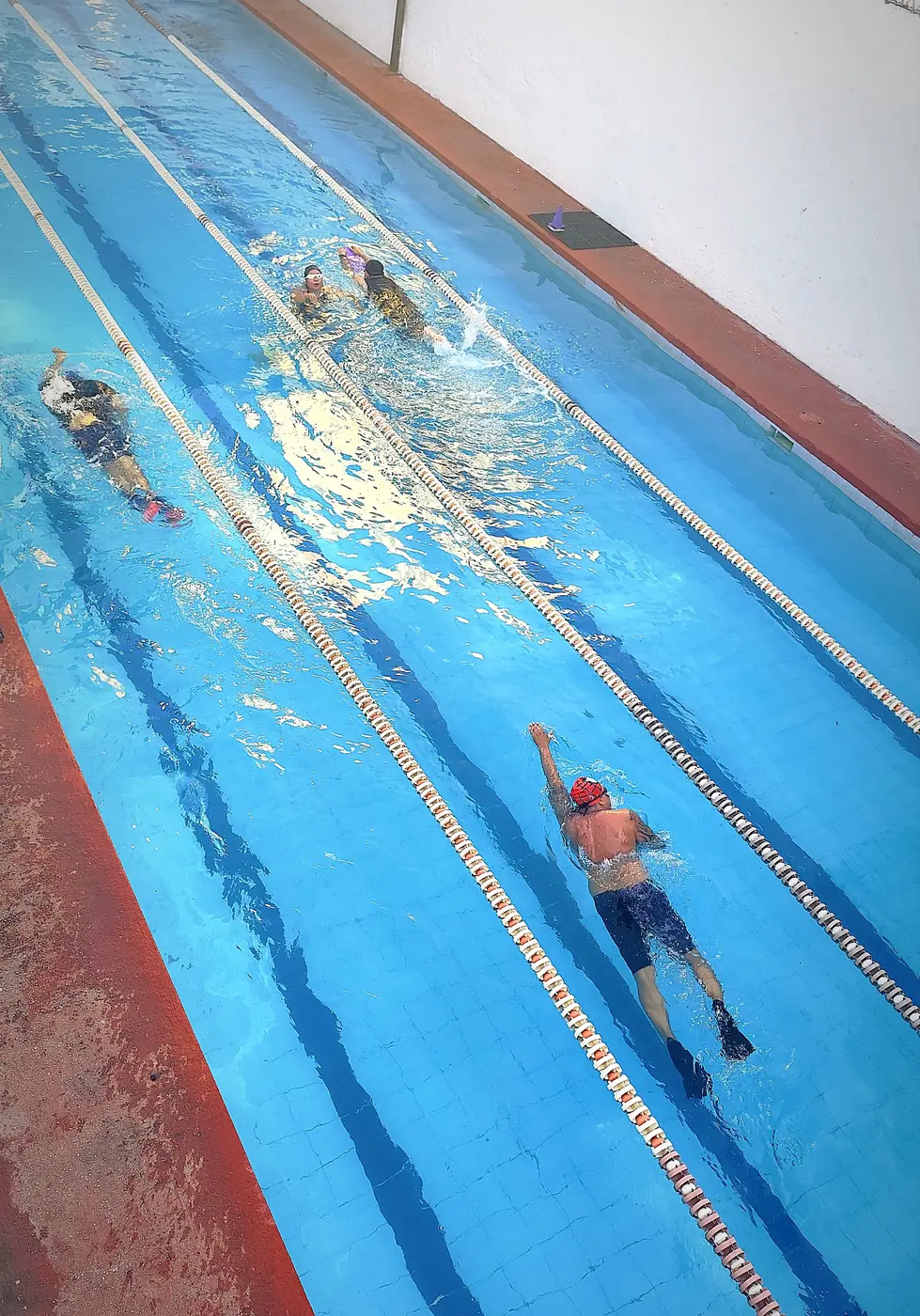 Entrenamiento de natación para adultos en Palapas Protudec